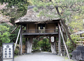 山ばな　平八茶屋